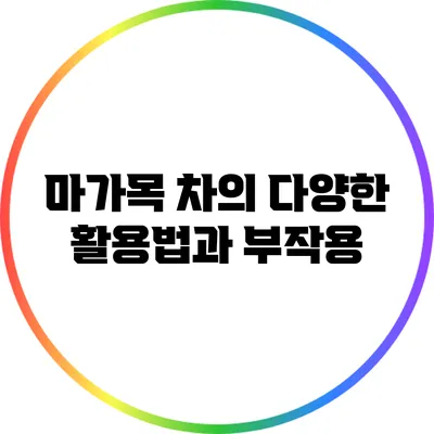 마가목 차의 다양한 활용법과 부작용