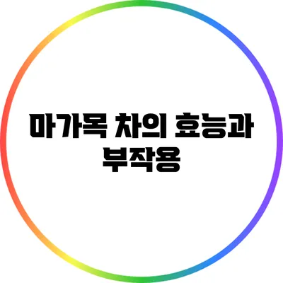 마가목 차의 효능과 부작용