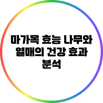 마가목 효능: 나무와 열매의 건강 효과 분석