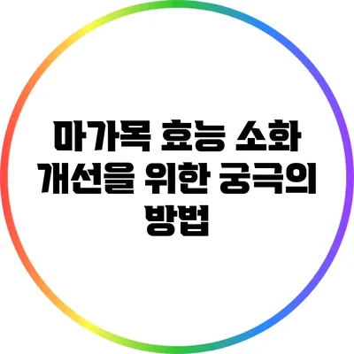 마가목 효능: 소화 개선을 위한 궁극의 방법