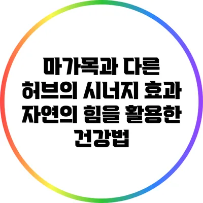 마가목과 다른 허브의 시너지 효과: 자연의 힘을 활용한 건강법