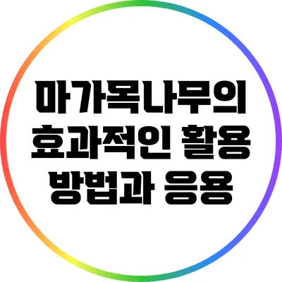 마가목나무의 효과적인 활용 방법과 응용
