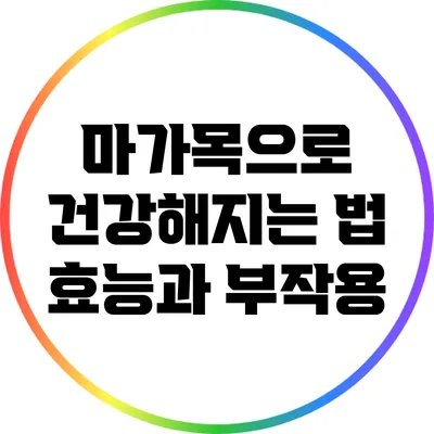 마가목으로 건강해지는 법: 효능과 부작용