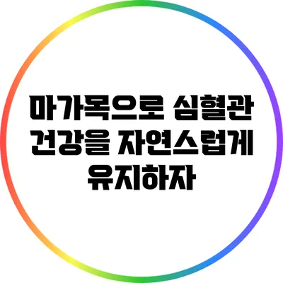 마가목으로 심혈관 건강을 자연스럽게 유지하자
