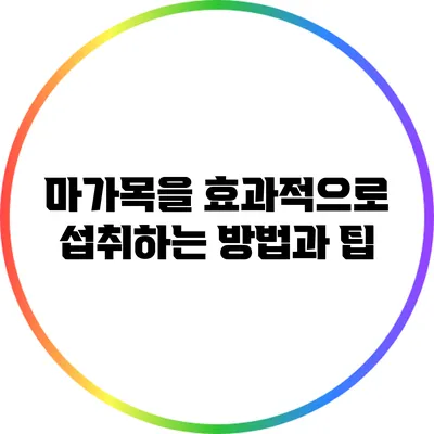 마가목을 효과적으로 섭취하는 방법과 팁