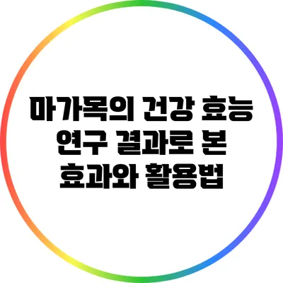 마가목의 건강 효능: 연구 결과로 본 효과와 활용법