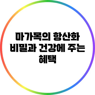 마가목의 항산화 비밀과 건강에 주는 혜택