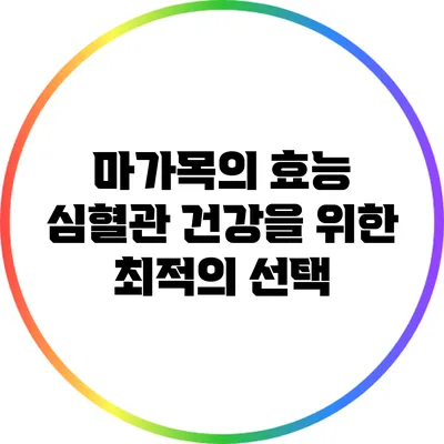 마가목의 효능: 심혈관 건강을 위한 최적의 선택