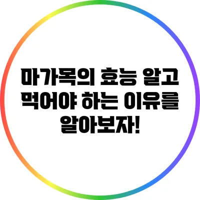 마가목의 효능: 알고 먹어야 하는 이유를 알아보자!
