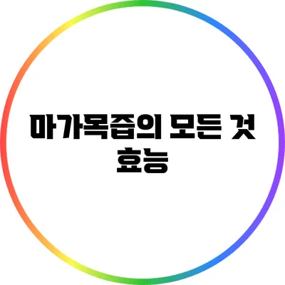 마가목즙의 모든 것: 효능