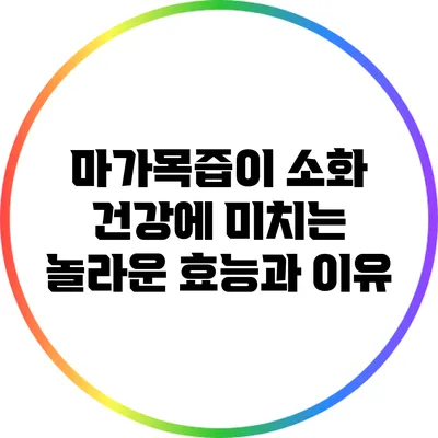 마가목즙이 소화 건강에 미치는 놀라운 효능과 이유