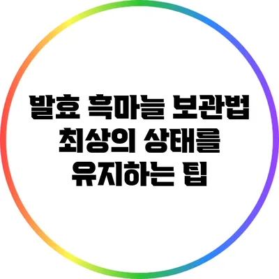 발효 흑마늘 보관법: 최상의 상태를 유지하는 팁