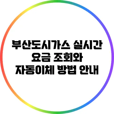 부산도시가스 실시간 요금 조회와 자동이체 방법 안내