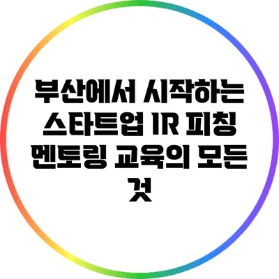 부산에서 시작하는 스타트업 IR 피칭 멘토링 교육의 모든 것