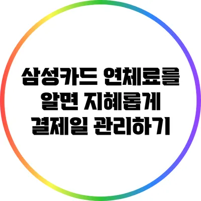 삼성카드 연체료를 알면 지혜롭게 결제일 관리하기