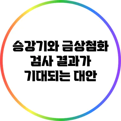 승강기와 금상첨화: 검사 결과가 기대되는 대안