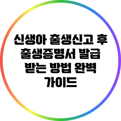 신생아 출생신고 후 출생증명서 발급 받는 방법 완벽 가이드