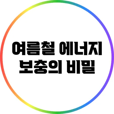 여름철 에너지 보충의 비밀