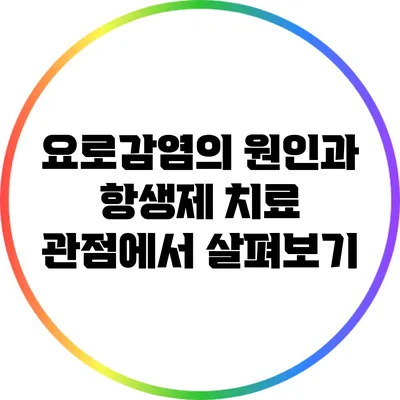 요로감염의 원인과 항생제 치료 관점에서 살펴보기
