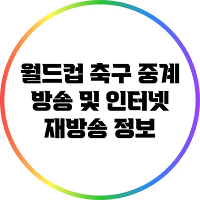 월드컵 축구 중계 방송 및 인터넷 재방송 정보