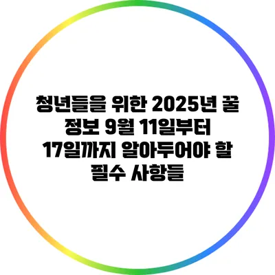 청년들을 위한 2025년 꿀 정보: 9월 11일부터 17일까지 알아두어야 할 필수 사항들