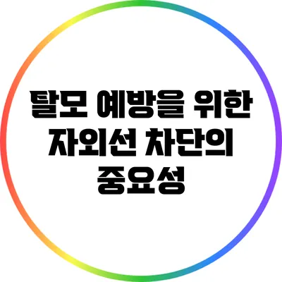 탈모 예방을 위한 자외선 차단의 중요성