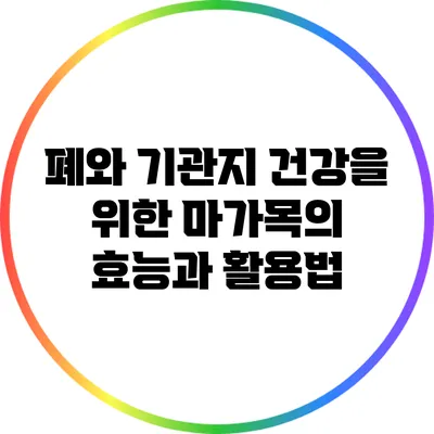 폐와 기관지 건강을 위한 마가목의 효능과 활용법
