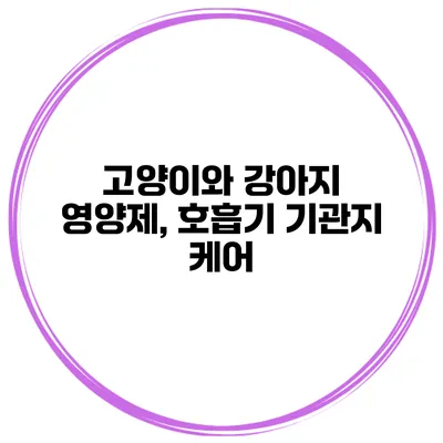 고양이와 강아지 영양제, 호흡기 기관지 케어