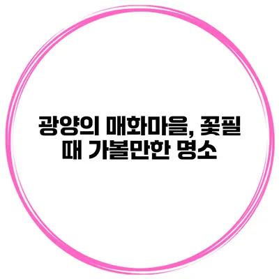 광양의 매화마을, 꽃필 때 가볼만한 명소