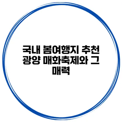 국내 봄여행지 추천 광양 매화축제와 그 매력