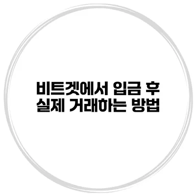 비트겟에서 입금 후 실제 거래하는 방법