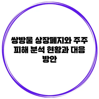 쌍방울 상장폐지와 주주 피해 분석: 현황과 대응 방안