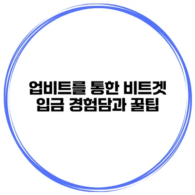 업비트를 통한 비트겟 입금 경험담과 꿀팁
