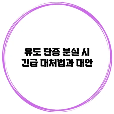 유도 단증 분실 시 긴급 대처법과 대안