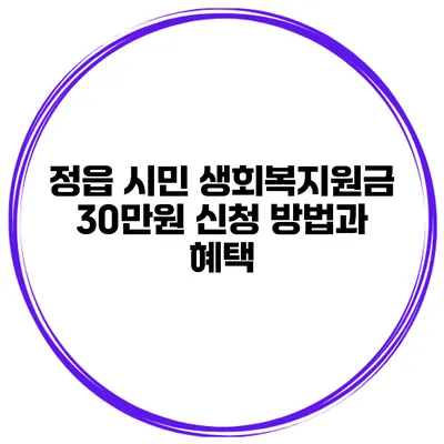 정읍 시민 생회복지원금 30만원 신청 방법과 혜택