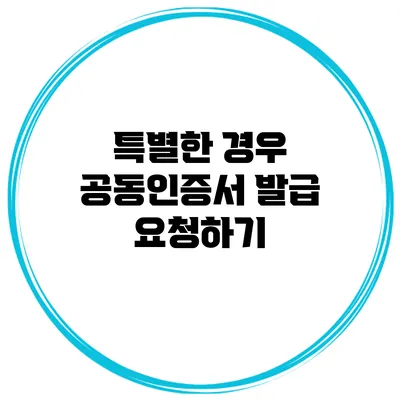 특별한 경우? 공동인증서 발급 요청하기