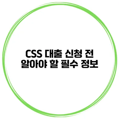 CSS 대출 신청 전 알아야 할 필수 정보