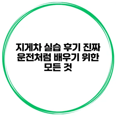지게차 실습 후기: 진짜 운전처럼 배우기 위한 모든 것